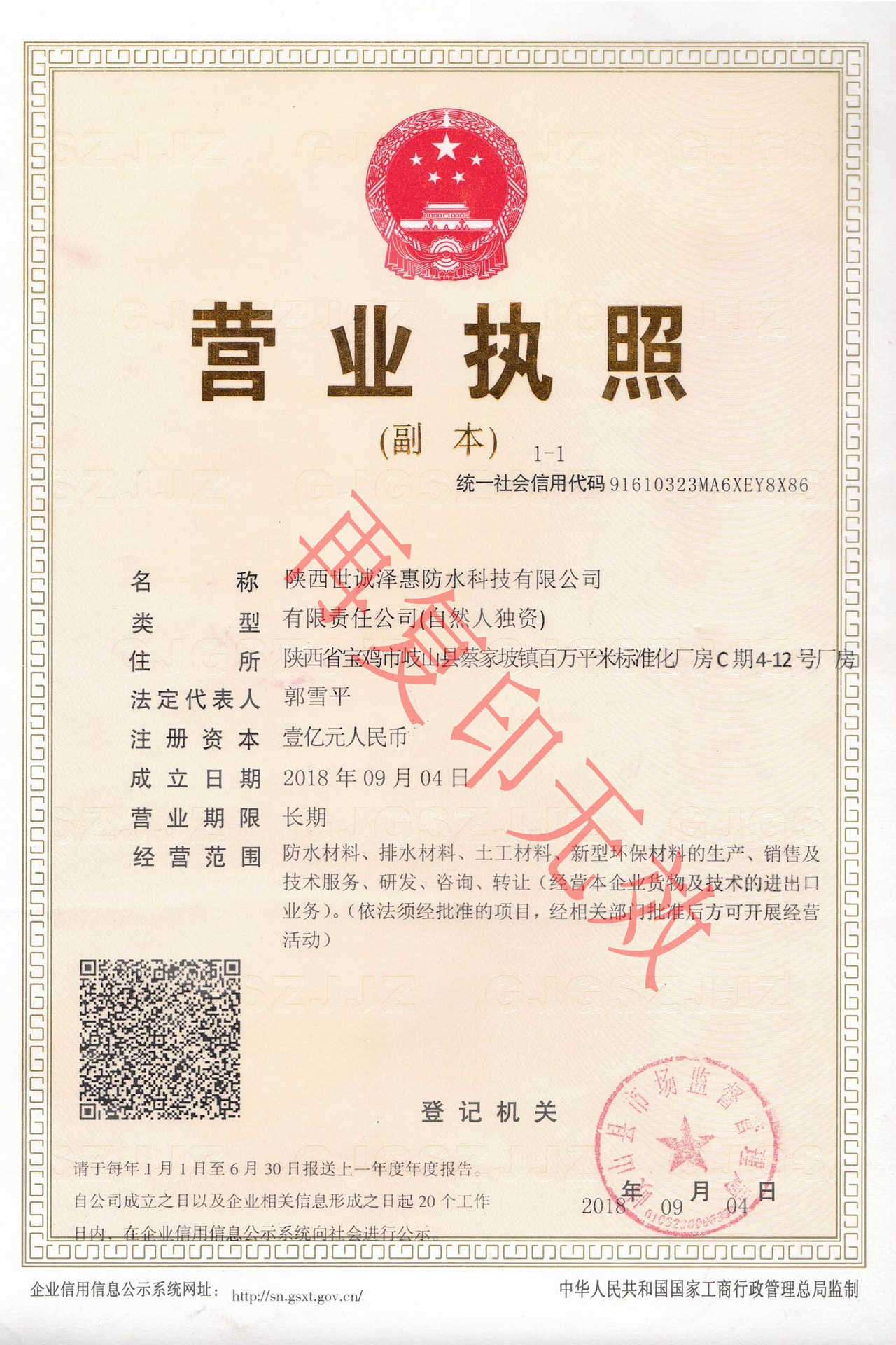 Business License